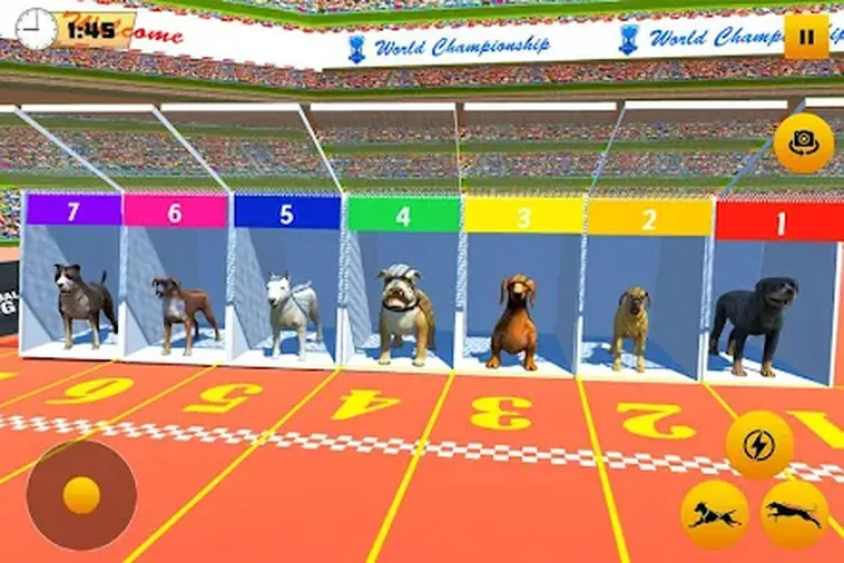 Cách Chơi Game Nhanh Đua Chó Tại Go88 Hiệu Quả Cho Tân Thủ